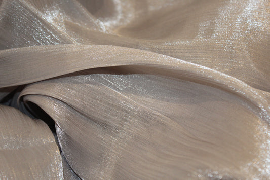 Foulard Organza - Silver